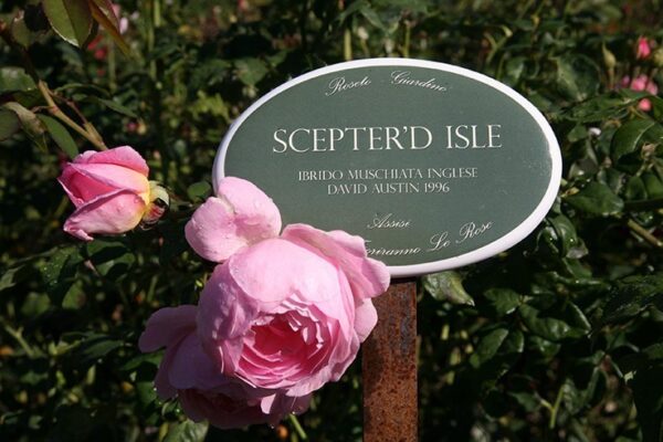 Targhetta in ceramica con asta in ferro