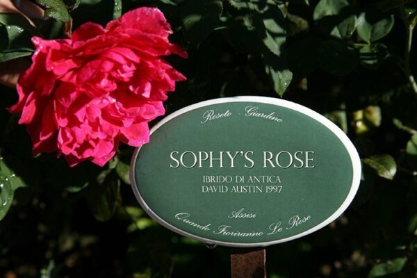 Targhetta in ceramica con asta in ferro